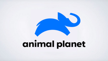 Assistir Animal Planet ao vivo em HD Online